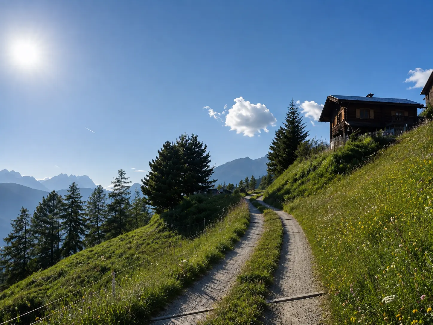 Chemin d'accès au mayen Le Gypaète à travers les alpages fleuris, Val de Bagnes