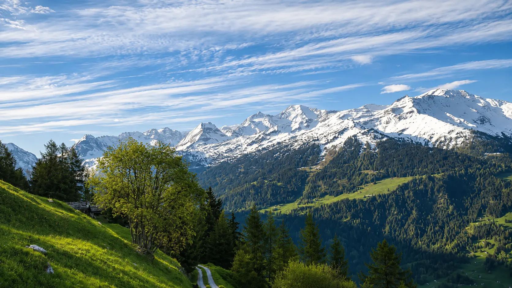 Panorama printanier sur les sommets enneigés depuis le mayen Le Gypaète