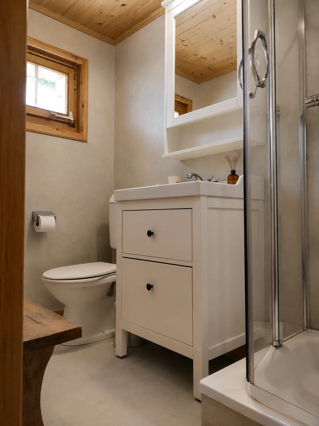 Renovated bathroom at Le Gypaète with shower, sink and WC, alpine chalet Val de Bagnes