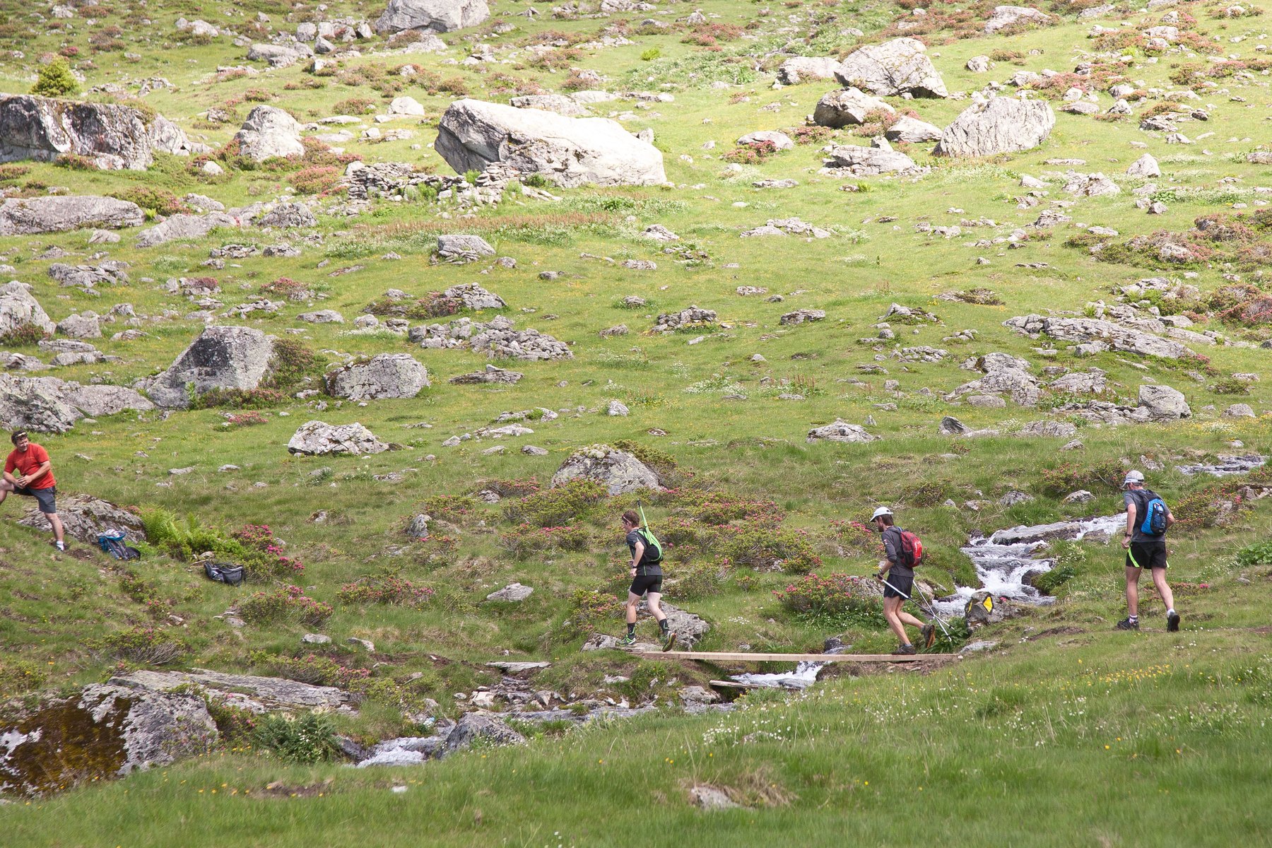 Groupe de traileurs courant dans les alpages pendant le Trail Verbier Saint-Bernard