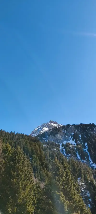 Sommet enneigé et forêt de sapins sous ciel bleu, vue depuis Le Gypaète, Val de Bagnes