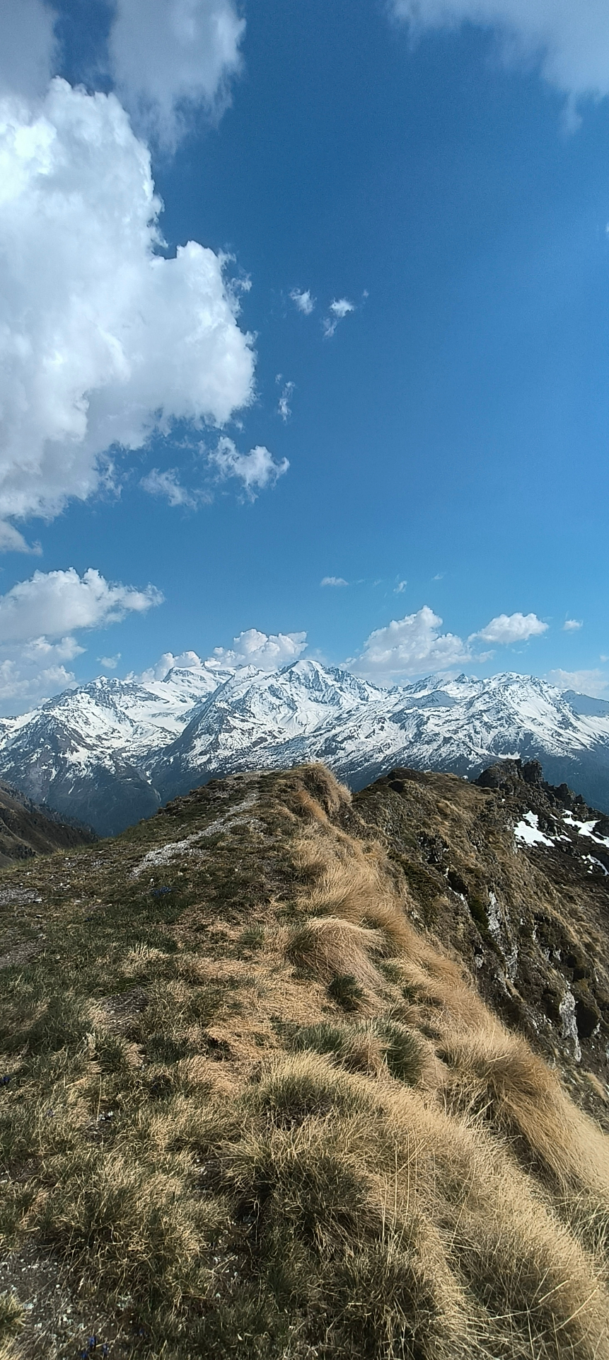 Crête herbeuse avec vue panoramique sur les sommets enneigés du Val de Bagnes, randonnée près du Gypaète